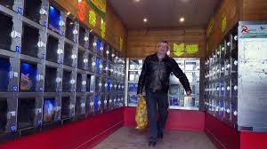 Ou Trouver Un Distributeur De Pain Ou De Fruits Et Legumes Dans Le Cambresis