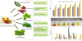 Image result for Ocimum minutiflorum
