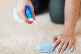 Sprinkle baking soda, cornstarch, or other absorbent on the stain. How To Get Human Urine Smell Out Of Carpets Clean That Floor
