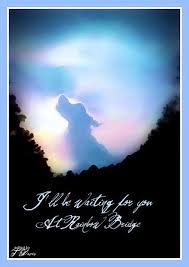 Collection by mary stovall • last updated 3 weeks ago. Paw S On My Heart Rainbow Bridge Artwork By Terri Davis Rainbow Bridge Miss My Dog Pet Loss Grief