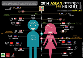 these are the average heights for sporean males females