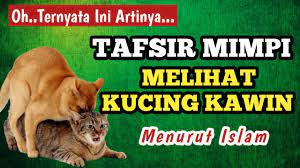 Home » angka mimpi » mimpi angka 4d tafsir mimpi togel. Inilah Arti Mimpi Melihat Kucing Kawin Menurut Islam Youtube