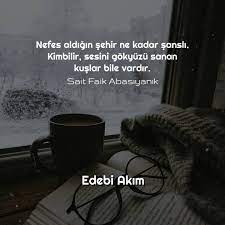 nefes aldigin sehir ne kadar sansli kimbilir sesini gokyuzu sanan kuslar bile vardir sait faik abasiyanik ilham verici sozler ozlu sozler guzel soz