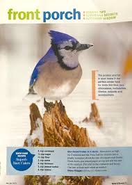 Birds Blooms Magazine Review Superb Suet Cakes Birds And Blooms Magazine Suet Cakes Birds Nuthatch