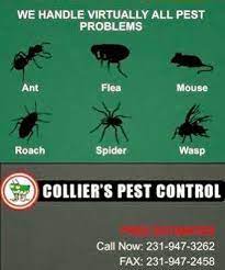 Traverse city has four state parks in our area including the traverse city state park, leelanau state park, old mission state park and interlochen state be sure to look for the famous petoskey stones found along the lake michigan shoreline. Collier S Pest Control 801 W Front St Traverse City Mi 2021
