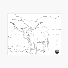 Texas longhorns news & rumors. Downloads Texas Exes