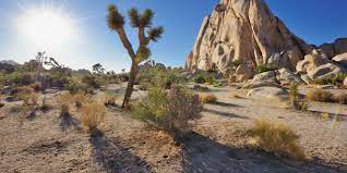 Maybe you would like to learn more about one of these? Unternehmungen Im Joshua Tree National Park Visit California