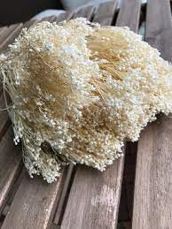 Dry Brooms Bunches White Flowers Gypsophila Dried Flower Home Decor Wedding Special Ev Bouquet Home Decor Dried Flower Bouquet Dried Lavender Flowers