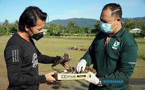 Jabatan hidupan liar, tingkat 5, blok b, wisma muis, 88100 kota kinabalu, sabah telefon: Bernama Puluhan Burung Ciak Rumah Ditemukan Mati Akibat Diracun Pesawah