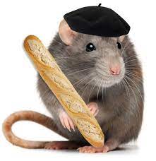Gnaw on this quiz about rodents, and that's an order! Quiz What Kind Of Rat Are You