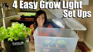 Pulp will cling to the seeds, and it's fine to plant with it attached. 4 Easy Grow Light Set Ups For Starting Seeds Indoors Spring Garden Series 1 Youtube