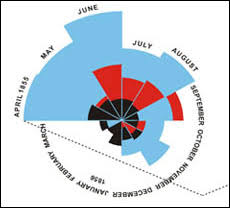 the state of the usa florence nightingale data