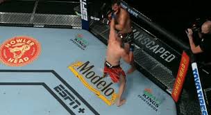 Prochazka entered the ufc last summer to much fanfare after a run through the rizin promotion saw him prochazka, though, refused to take a backward step and fired back relentlessly, bloodying. Pkf4v28h5otohm