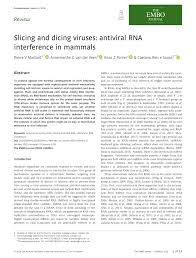 While her mom is away, a teen sneaks out of the hippie commune where she lives and embarks on a. Pdf Slicing And Dicing Viruses Antiviral Rna Interference In Mammals