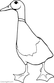 Flying mallard duck coloring page print. Mallard Duck Coloring Pages Coloringall