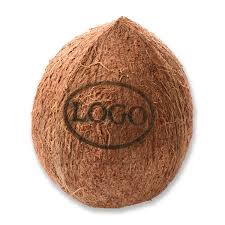 Check spelling or type a new query. Logo Kokosnuss Mit Laserung Obst Nusse Eier