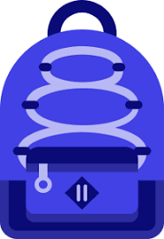 Bagajele aduse în cabină (bagajele de mână). Baggage