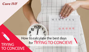 Babycenter's ovulation calculator can help you determine which dates you're most likely to be fertile when trying to conceive. How To Calculate The Best Days For Trying To Conceive