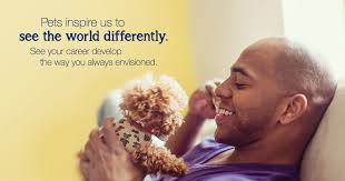 Maybe you would like to learn more about one of these? Beliefs And Values Careers At Petsmart