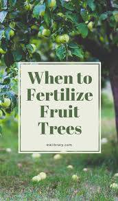 For trees 4 years and older, apply nitrogen according to growth: When To Fertilize Fruit Trees Mk Library