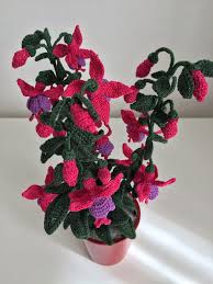 In questa sezione vi presentiamo una lista elenco di nomi di fiori dalla a alla z. Pin Su Piante E Fiori