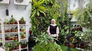 Di samping itu, kau juga sebenarnya bisa membuat bidang tersebut sendiri menggunakan material kayu yang ada. Mhea Pilih Konsep Veritcal Garden Siasati Halaman Rumah Yang Sempit Begini Kebun Mini Miliknya Tribun Jambi