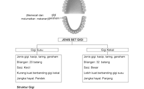 Soalan magnet ni kira soalan yang paling senang nak skor disebabkan jom daftar tutor brain train! Nota Ringkas Sains Tahun 3 Kssr Resep Kuini