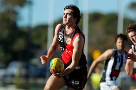 This was supposed to be adelaide's best opportunity to record its first win of 2020. 2020 Afl Draft Preview Adelaide Crows Aussie Rules Draft Central