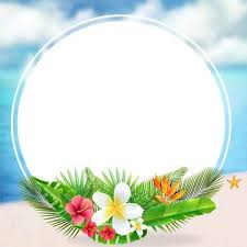 pink simple esencia cosmeticos poster de promocion background images graphic design background templates framed photographs