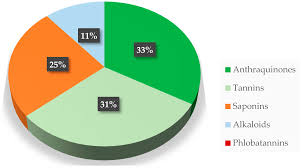 Image result for Agelanthus lugardii