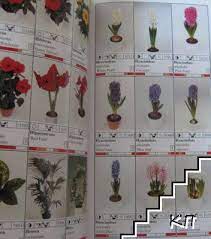 Welcome to regiobloemist, your online florist that delivers flowers in every region in the netherlands, holland. Plants From Holland Naturally Kolektiv