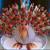 Thanksgiving Vegetables
