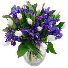 Blue Dew Fresh Flower Bouquet Fresh Iris Flowers Delivered Next Day Flowers Delivered Fresh Flower Bouquets Iris Flowers