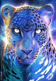 Cheetah Cat Color Art Leopard Art Big Cats Art Tiger Art