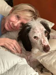 I'm memory of my Allie girl One year ago today. I had to say goodbye to the  best dog I have ever had. So smart!! You Collie people know what I mean