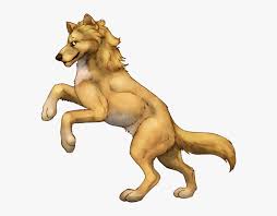 Maybe you would like to learn more about one of these? Kate From Alpha And Omega Alfa And Omega Kate Hd Png Download Transparent Png Image Pngitem