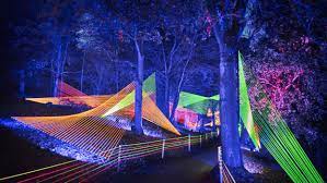 Houston Botanic Garden Celebrates One Year With Two Must See Multimedia Exhibits Houston Citybook