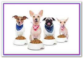 The good, the bad, and the healthy. Pin On Best Dog Food