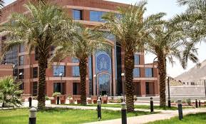 جامعة حكومية أحدثت بمرسوم تشريعي. Ø¥ØªØ§Ø­Ø© Ø§Ù„Ù‚Ø¨ÙˆÙ„ ÙÙŠ 7 ØªØ®ØµØµØ§Øª Ø¬Ø¯ÙŠØ¯Ø© Ø¨Ø¬Ø§Ù…Ø¹Ø© Ø·ÙŠØ¨Ø© Ø­Ø¯ÙŠØ« Ø§Ù„Ù…Ø¯ÙŠÙ†Ø©