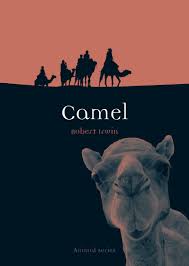 Interfering symbols of the other users are also shown. Camel Animal Irwin Robert 9781861896490 Amazon Com Books