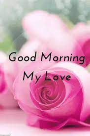 Everything has beauty, but not everyone see. Good Morning Flowers Good Morning With Flower Images Photos Pictures The State