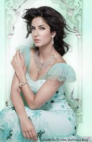 Biography Education Boyfriend Dating Personalprofile Family Career Sony Xperia Katrina Kaif Katrina Kaif Photo Y Bollywood