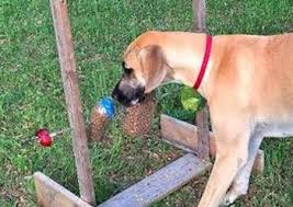 Hot dogs are nothing more than ground meat with seasonings and are easy to make at home when you follow this delicious recipe. The Best Diy Dog Toys From Easy To Indestructible Dog Training Me