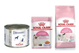 Jenis dari kucing pun cukup beragam, antara lain: Royal Canin Indonesia Harga Makanan Kucing Royal Canin Terbaru Agustus 2021