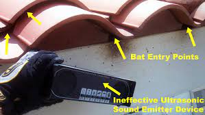 This will allow the product to repel of bats, rodents and even stray cats. How Effective Are Bat Repellents Pest Removal Guide