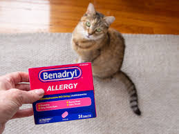 Oct 07, 2019 · according to the importance of your dog, you have to give medicine. Benadryl For Cats