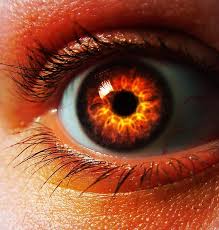 Louve De La Lune Fire Eyes Rare Eye Colors Beautiful Eyes Color