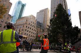 Rockefeller Christmas Tree 2021 Rockefeller Center Christmas Tree Lighting How To Watch The New York Times
