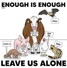 Pin By Fair Winds Clear Skies On Vegan Sayp Bb Animals Peta Animal Agriculture