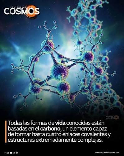 EL CARBONO EN LOS ALIMENTOS: El carbono es un elemento químico esencial  para la vida en la Tierra. Todas las moléculas orgánicas que forman  plantas, animales y seres humanos contienen carbono. De